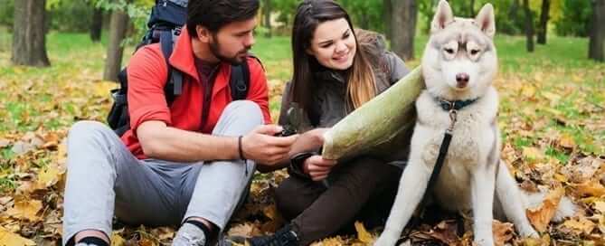 Dog owners going camping with their dog