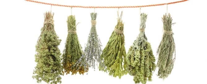 Hanging Variety of Herbs