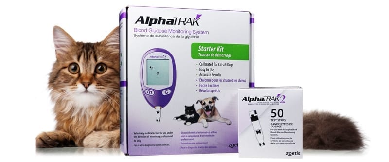 test blood cats glucose for Monitoring Joi ADW Home  Dr.   Blood Diabetes  Glucose Ask